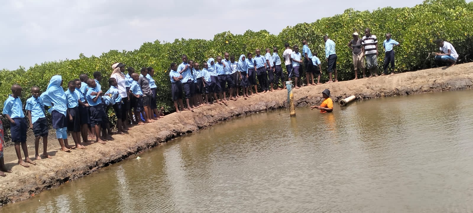 7728271c1b8a40802ef0166faeeced1625306a35