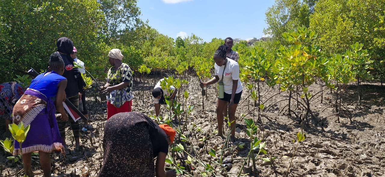 WhatsApp Image 2025-09-13 at 21.13.37_f254eb2f